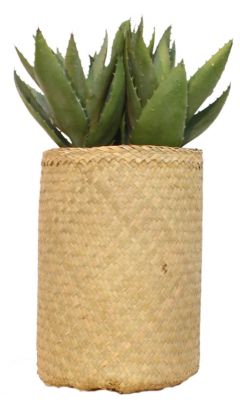 Nairobie Aloe Artificial Plant Tanaman  